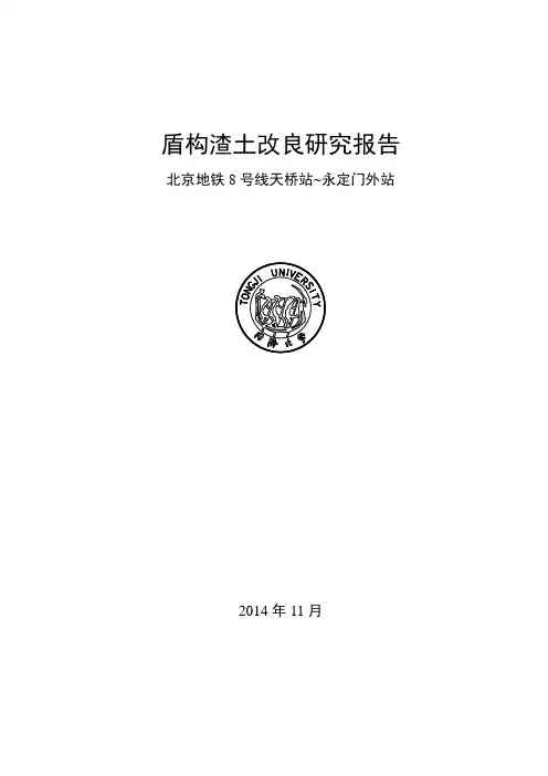 盾构渣土改良研究报告