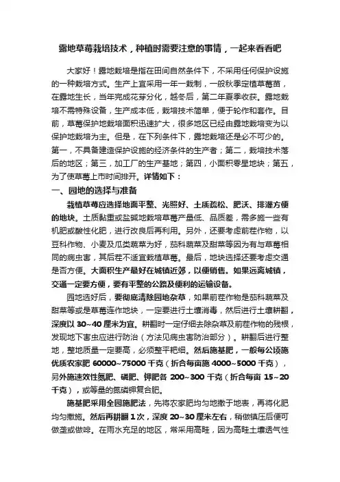 露地草莓?栽培技术，种植时需要注意的事情，一起来看看吧