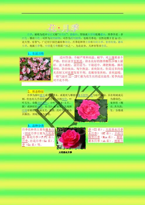 月季资料