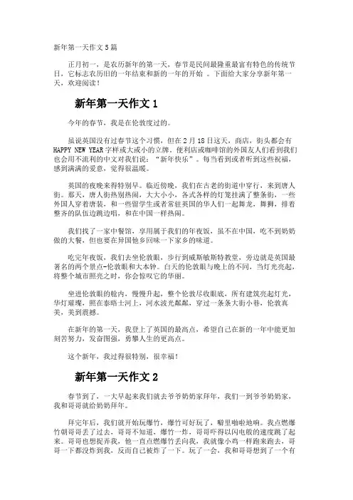 新年第一天作文