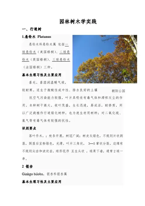 北方园林绿化常用树种、花卉及用途汇总