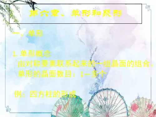 第六章_单形与聚形——【结晶学】