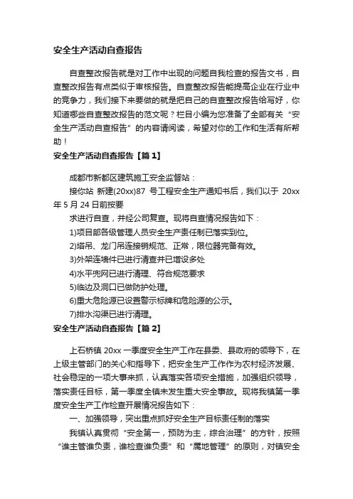 安全生产活动自查报告