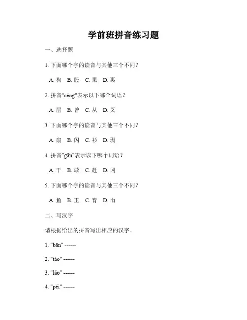 学前班拼音练习题