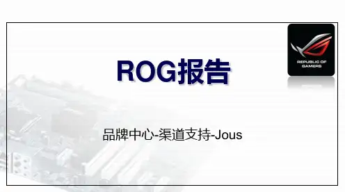 ROG分析报告PPT课件