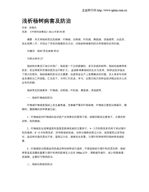 浅析杨树病害及防治