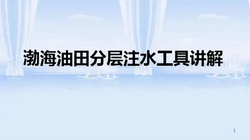 油田分层注水工具讲解(PPT 69页)