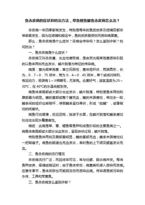鱼赤皮病的症状和防治方法，草鱼鲤鱼鲫鱼赤皮病怎么治？