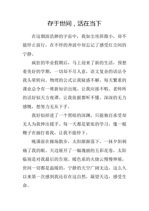 议论文 存于世间 活在当下 作文