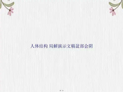 人体结构 局解演示文稿盆部会阴讲课文档