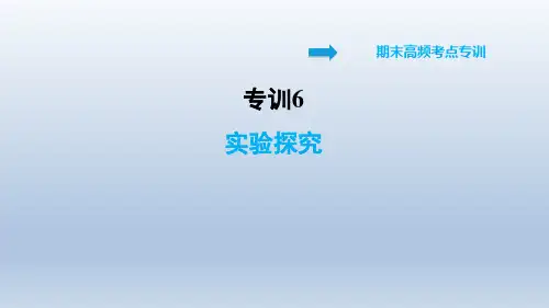 2021春科学版九年级化学下册 专训6 实验探究