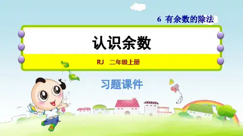 第六单元《有余数的除法》练习题课件 二年级下册