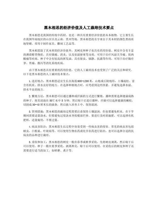 黑木相思的经济价值及人工栽培技术要点