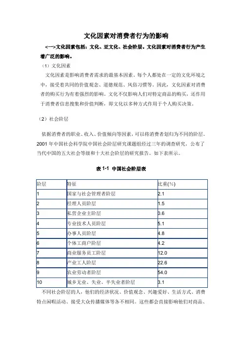 文化因素对消费者的影响
