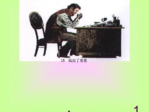 《玩出了名堂》ppt课件