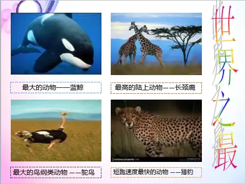 最新科学鄂教版小学五年级下册形形色色的动物优质课课件
