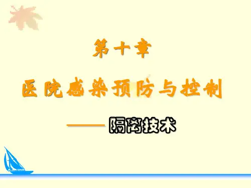 十隔离技术PPT课件