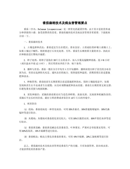 番茄栽培技术及病虫害管理要点