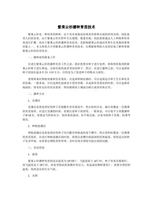 紫果云杉播种育苗技术