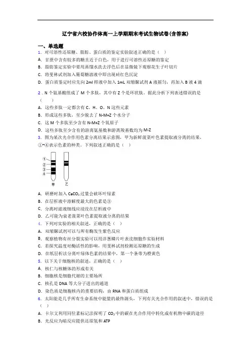 辽宁省六校协作体高一上学期期末考试生物试卷(含答案)