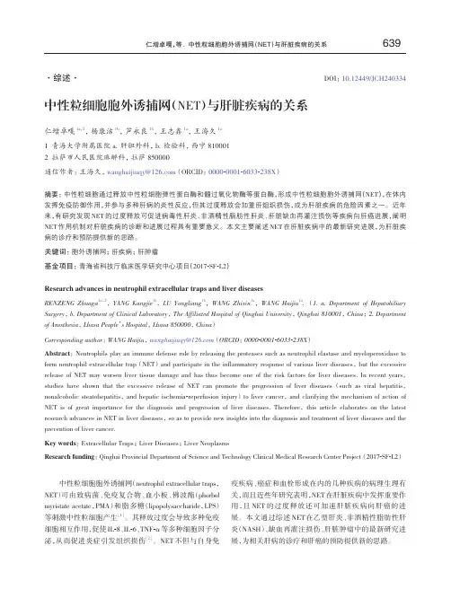 中性粒细胞胞外诱捕网与肝脏疾病的关系