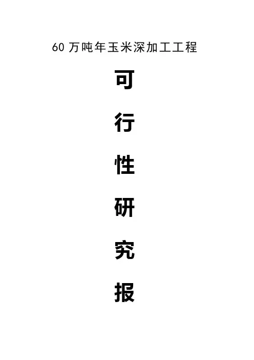 60万吨年玉米深加工工程可行性研究报告1