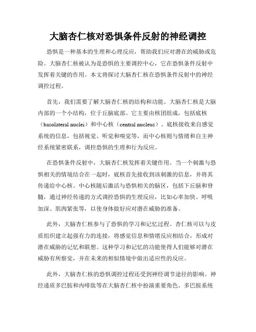 大脑杏仁核对恐惧条件反射的神经调控