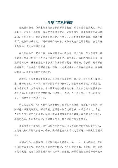 二年级作文素材摘抄