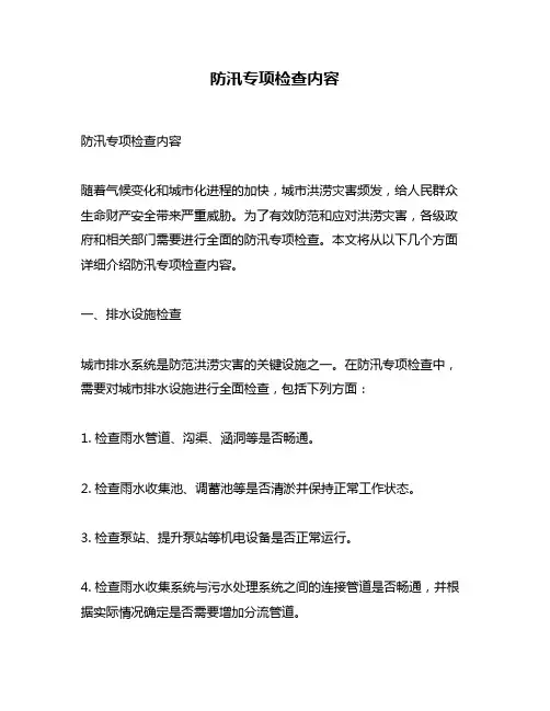 防汛专项检查内容
