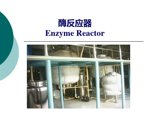 酶工程 第六章 酶反应器