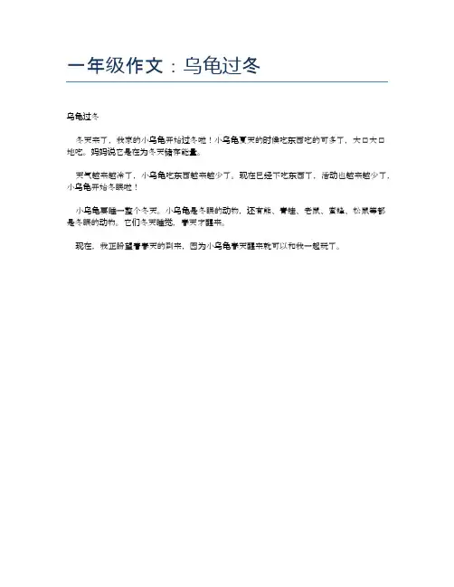 一年级作文：乌龟过冬
