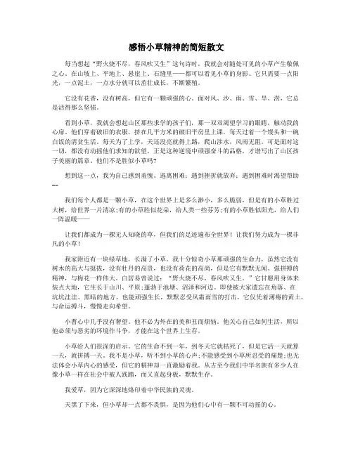 感悟小草精神的简短散文