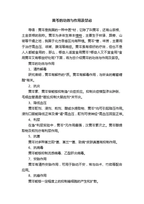 黄芩的功效与作用及禁忌