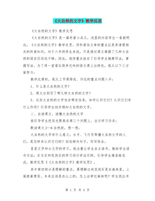 《大自然的文字》教学反思