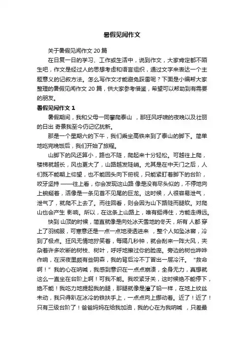 关于暑假见闻作文20篇