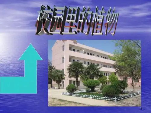【精选】一年级上册科学课件-1.6校园里的植物  ｜教科版   (共20张PPT)
