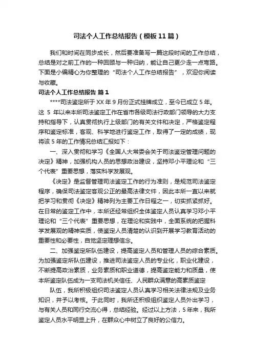 司法个人工作总结报告（模板11篇）