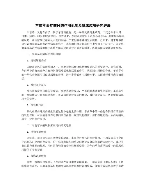车前草治疗痛风的作用机制及临床应用研究进展