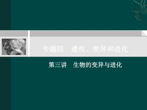 高考生物复习  生物的变异与进化