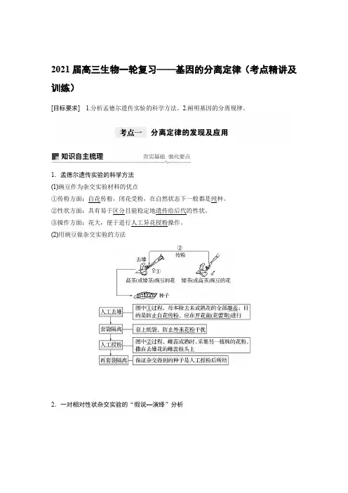 2021届高三生物一轮复习——基因的分离定律(考点精讲及训练)