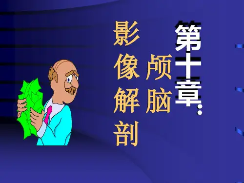 颅脑(good)影像解剖