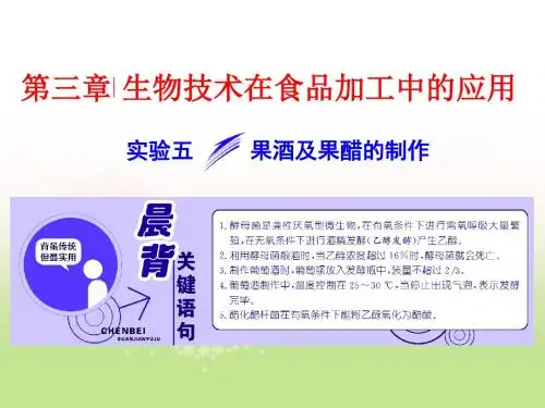 2017-2018学年高中生物浙科版(浙江专版)选修1课件：第三章 实验五 果酒及果醋的制作