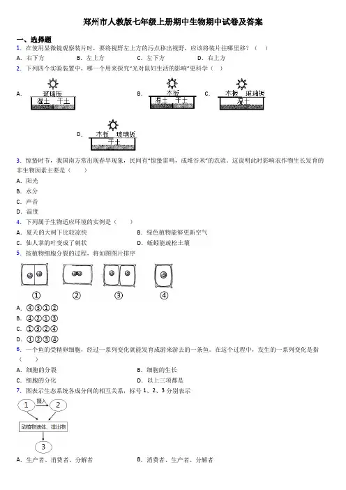 郑州市人教版七年级上册期中生物期中试卷及答案