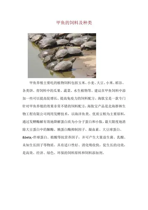 甲鱼的饲料及种类