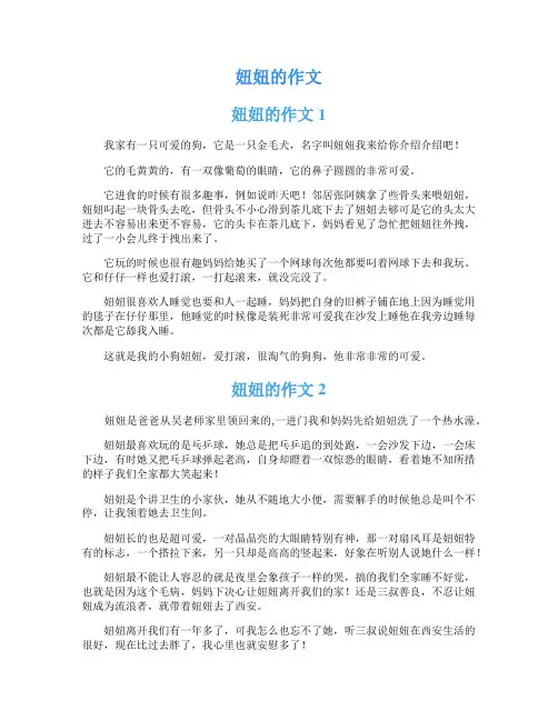 妞妞的作文