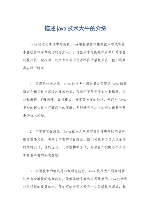 描述java技术大牛的介绍