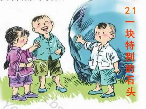 21一块特别的石头ppt