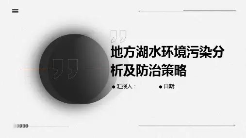 地方湖水环境污染分析及防治策略