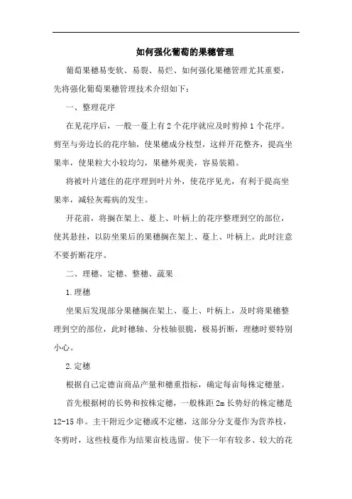 如何强化葡萄的果穗管理