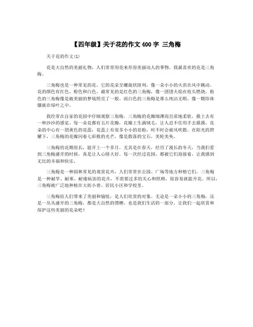 【四年级】关于花的作文400字 三角梅